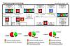 Einsparungspotential auf Basis der Optimierung